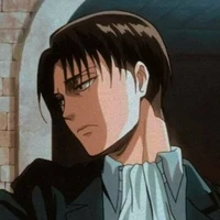 levi