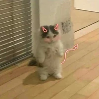 เเอดเองค่ะ