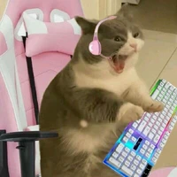 แอดเองค่ะทำได้ทุกอย่าง