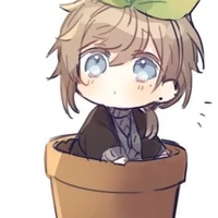 lil Aurora  Ernestine crispina