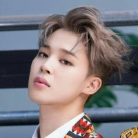 Park Jimin/ML