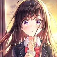 Y/N