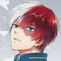 ❤️todoroki 💙