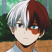 ⚪shoto todoroki🔴