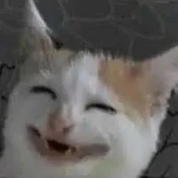 แอดเอง