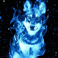 wolf