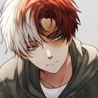 Shoto Todoroki