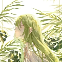 forest /Chg Tin