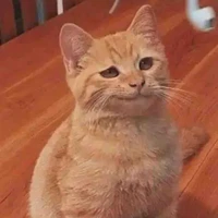 แอดเอง