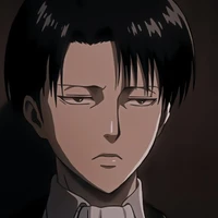 Levi