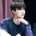 hobi