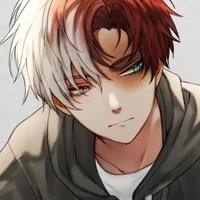Shoto Todoroki