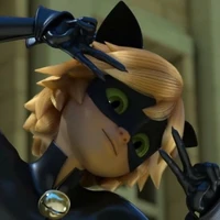 chat noir