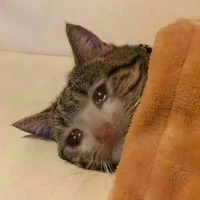 แอดเอง(: