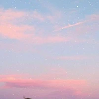 all