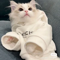 แอดเองงับ