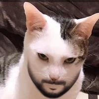 แอด