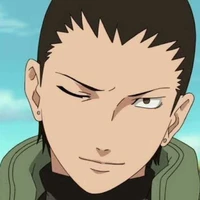 shikamaru (alfa)