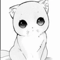 cat izumiko lil