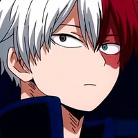 shoto todoroki
