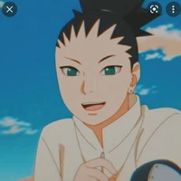 shikadai