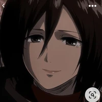 Mikasa