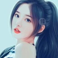 Li Wei Wei (fl in past)