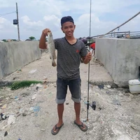 Udin