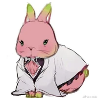 มุซัน(กระต่ายสัตว์เลี้ยงชิคาโนะ)