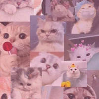 Everyone
