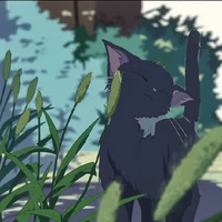 Kitty