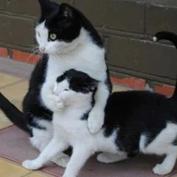 ทุกคนที่เป็นตัวละครหลักยกเว้นอินาริ