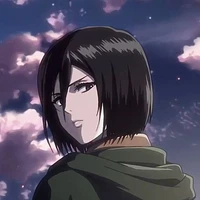 mikasa