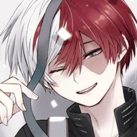 Shoto Todoroki