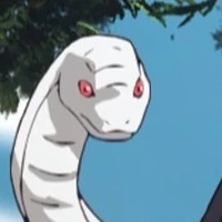 Kaburamaru