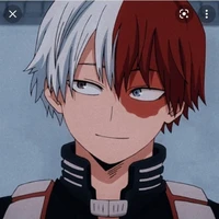 todoroki