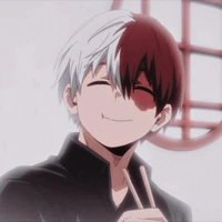 Todoroki/shoto🧊🔥