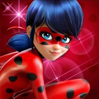 Ladybug 