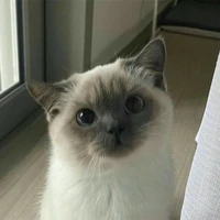 ฮารุ