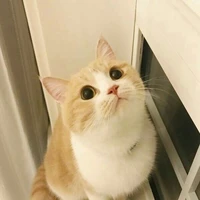 ฮาจิ