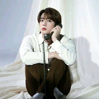 kim seokjin(pacar dita)