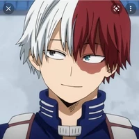 Todoroki