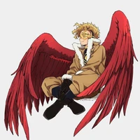 hawks