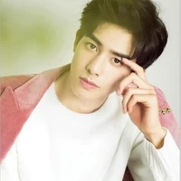Zidan Veranda Gresmest (papi)