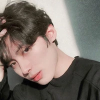 ไม้ซุง