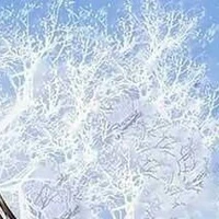 เถ้าแก่