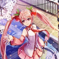 Sakura 🍒