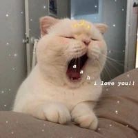 เป็นทุกอย่างอะจ้า