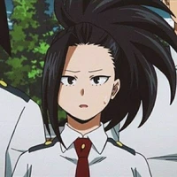 Momo (alfa)