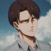 Levi